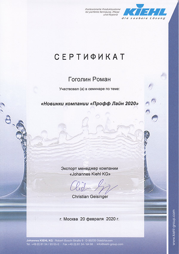 Сертификат Профф лайн 2020 Гоголин